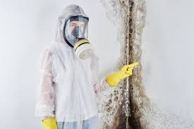 Best Asbestos and Lead Testing During Mold Inspection  in Redland, TX